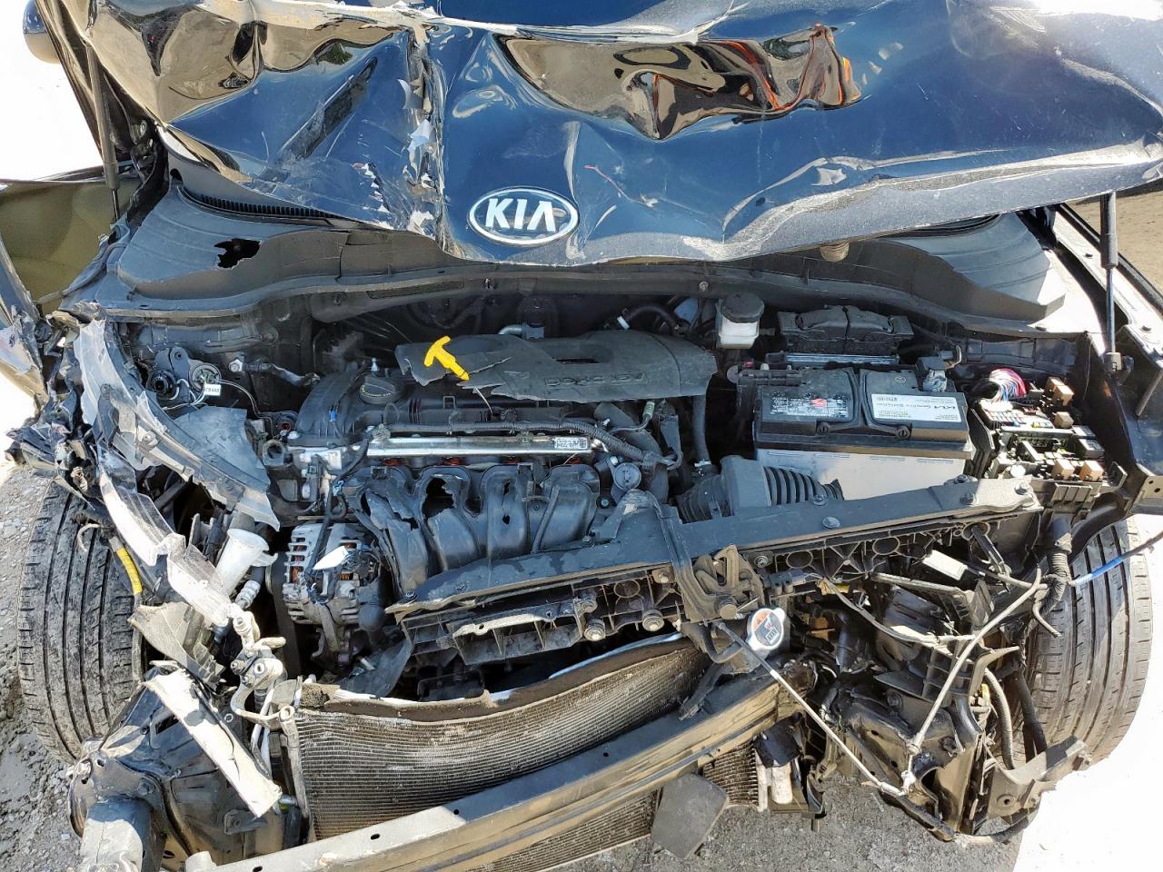 2021 Kia Soul Lx VIN: KNDJ23AU8M7137508 Lot: 81836195