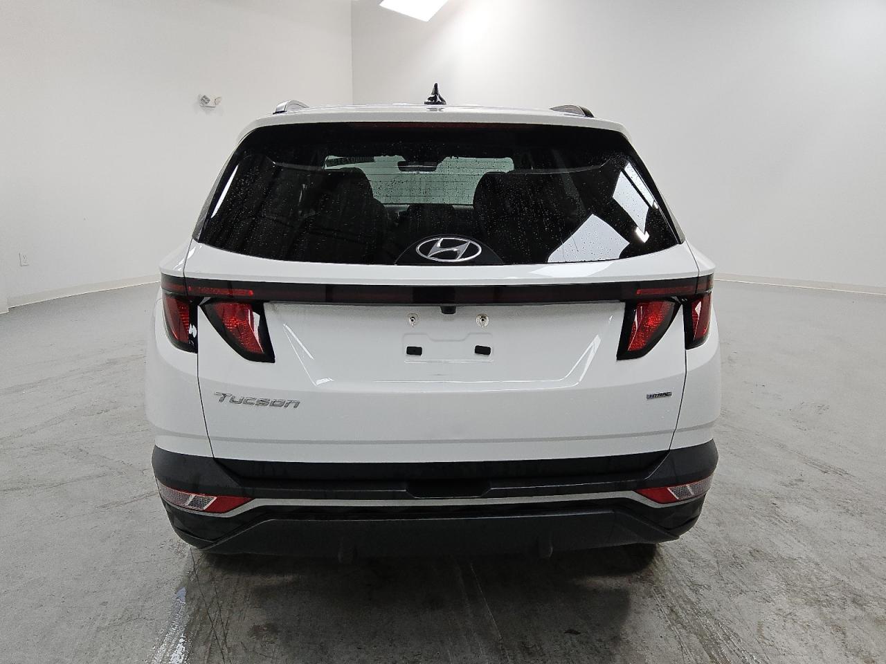 2024 Hyundai Tucson Sel VIN: 5NMJBCDE4RH343624 Lot: 80807315