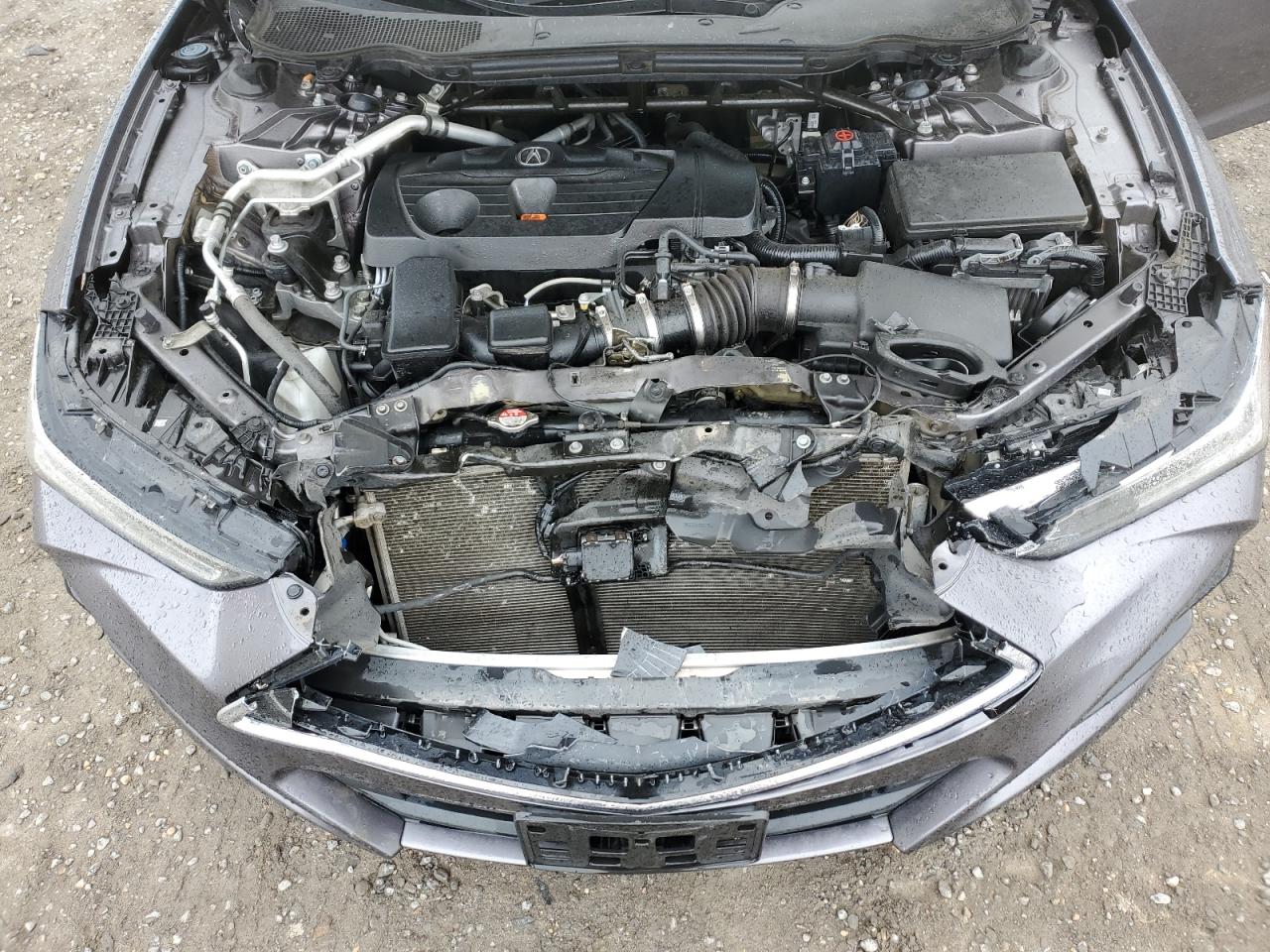 2021 Acura Tlx Technology VIN: 19UUB6F41MA001409 Lot: 80201955