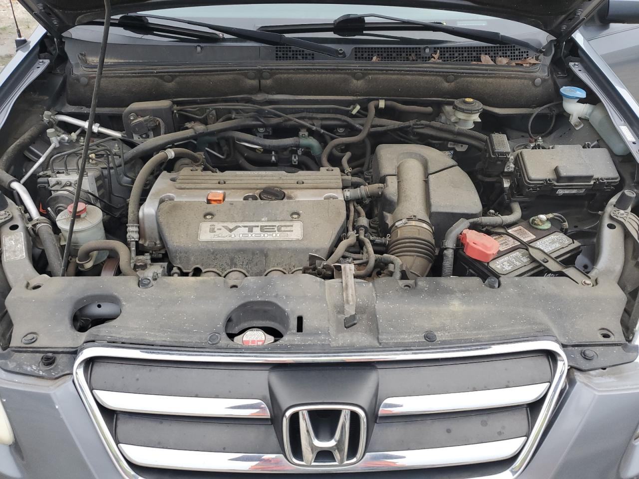 2006 Honda Cr-V Se VIN: SHSRD78946U443181 Lot: 84577845