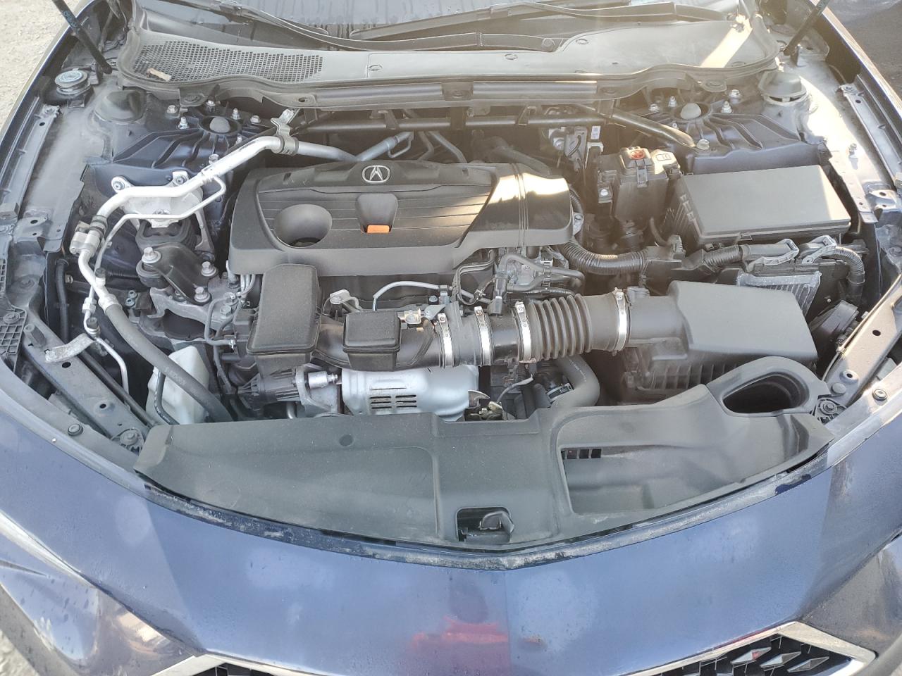 2021 Acura Tlx Technology VIN: 19UUB6F46MA801395 Lot: 80325625