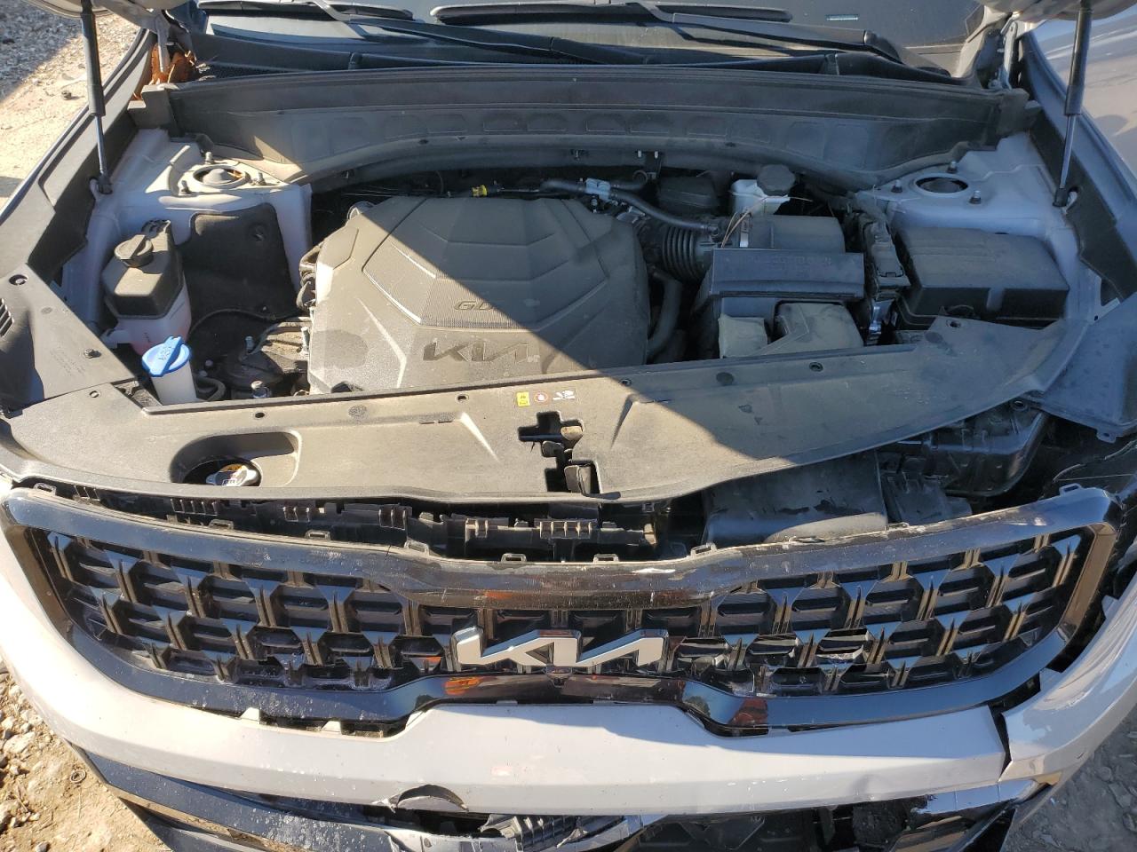 2024 Kia Telluride Sx VIN: 5XYP5DGC7RG452221 Lot: 71996575