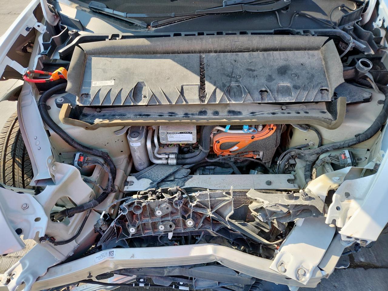 2023 Tesla Model Y VIN: 7SAYGDEE2PA114703 Lot: 71208315