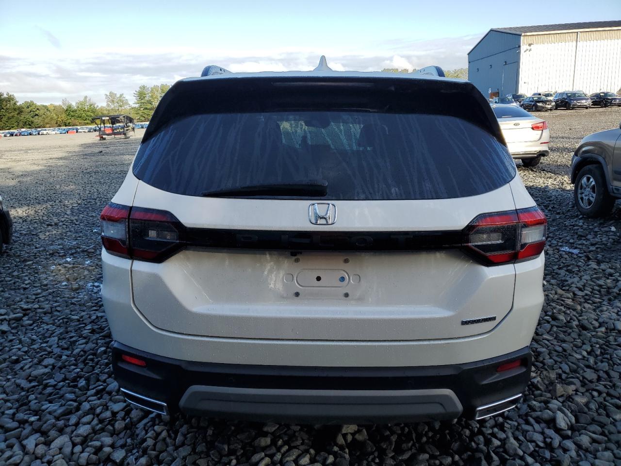 2024 Honda Pilot Touring VIN: 5FNYG2H77RB006694 Lot: 80000695