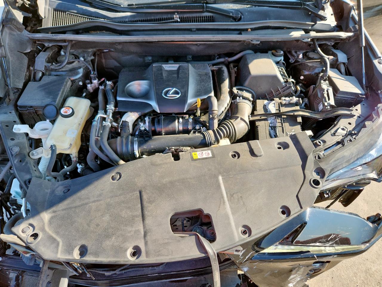 2021 Lexus Nx 300 Base VIN: JTJSARBZ9M2195318 Lot: 70959925