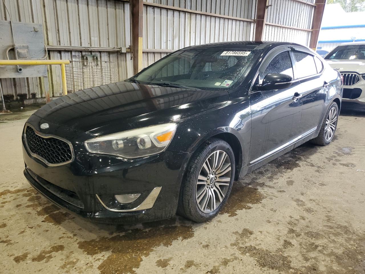 2015 Kia Cadenza Premium VIN: KNALN4D77F5182060 Lot: 81786595