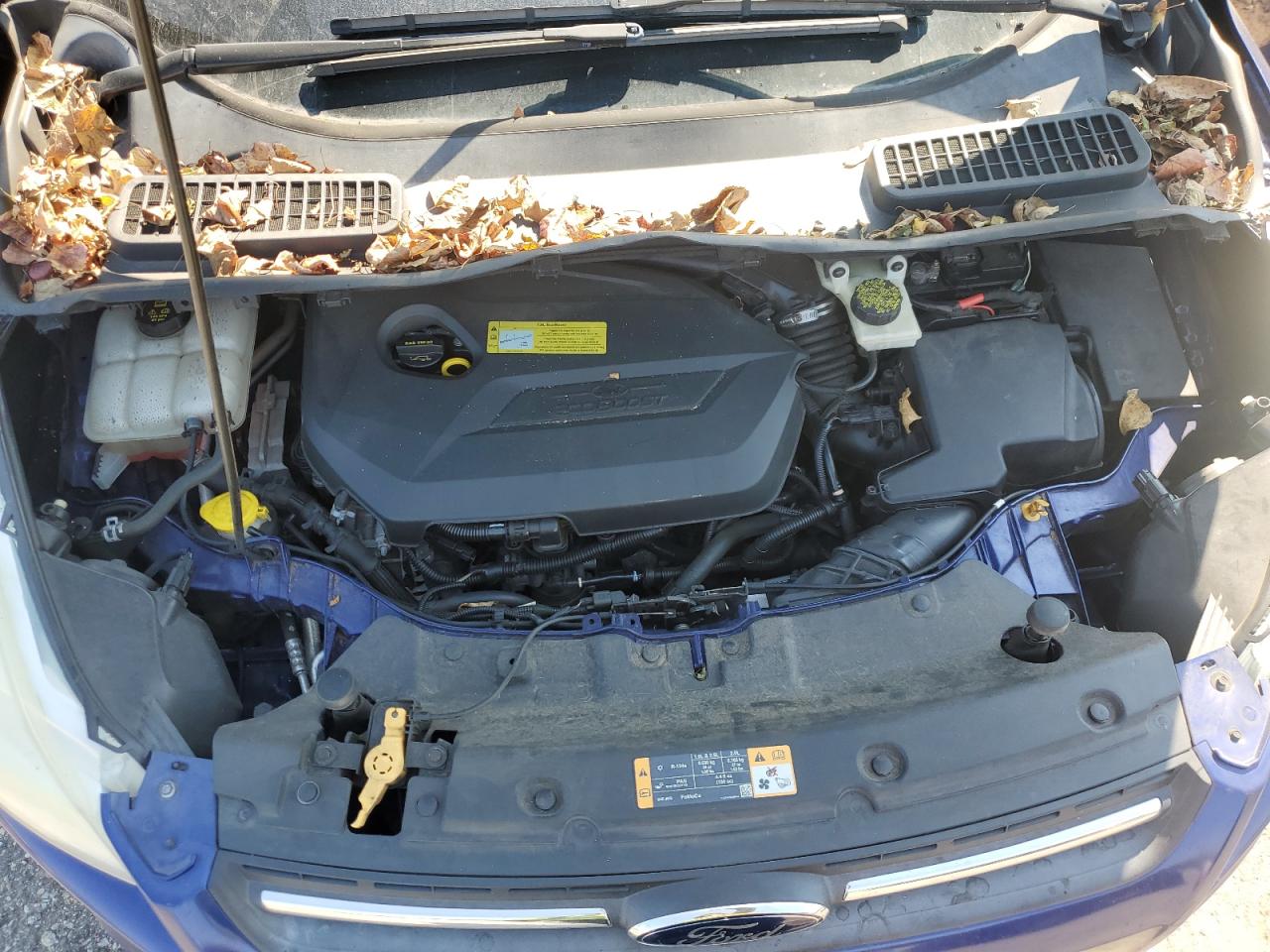 2013 Ford Escape Se VIN: 1FMCU0GX5DUA83682 Lot: 80171105