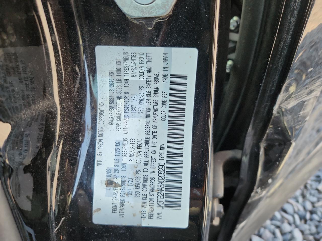 2010 Mazda Cx-9 VIN: JM3TB2MA8A0205290 Lot: 80841875