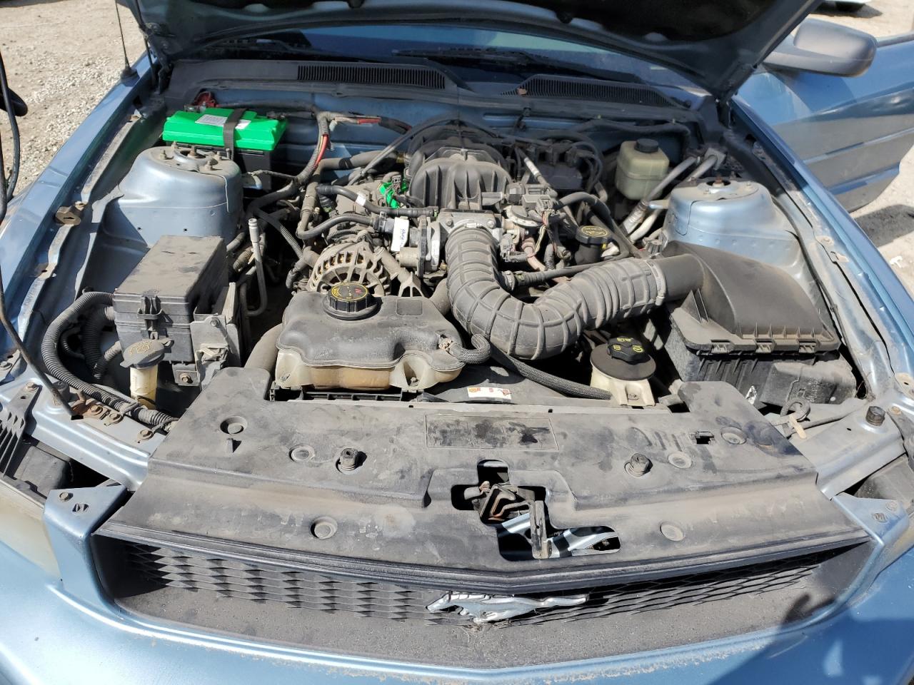 2007 Ford Mustang VIN: 1ZVFT84N975265614 Lot: 81728665