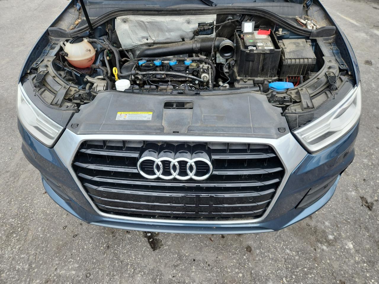 2016 Audi Q3 Premium Plus VIN: WA1EFCFS4GR015664 Lot: 84830265