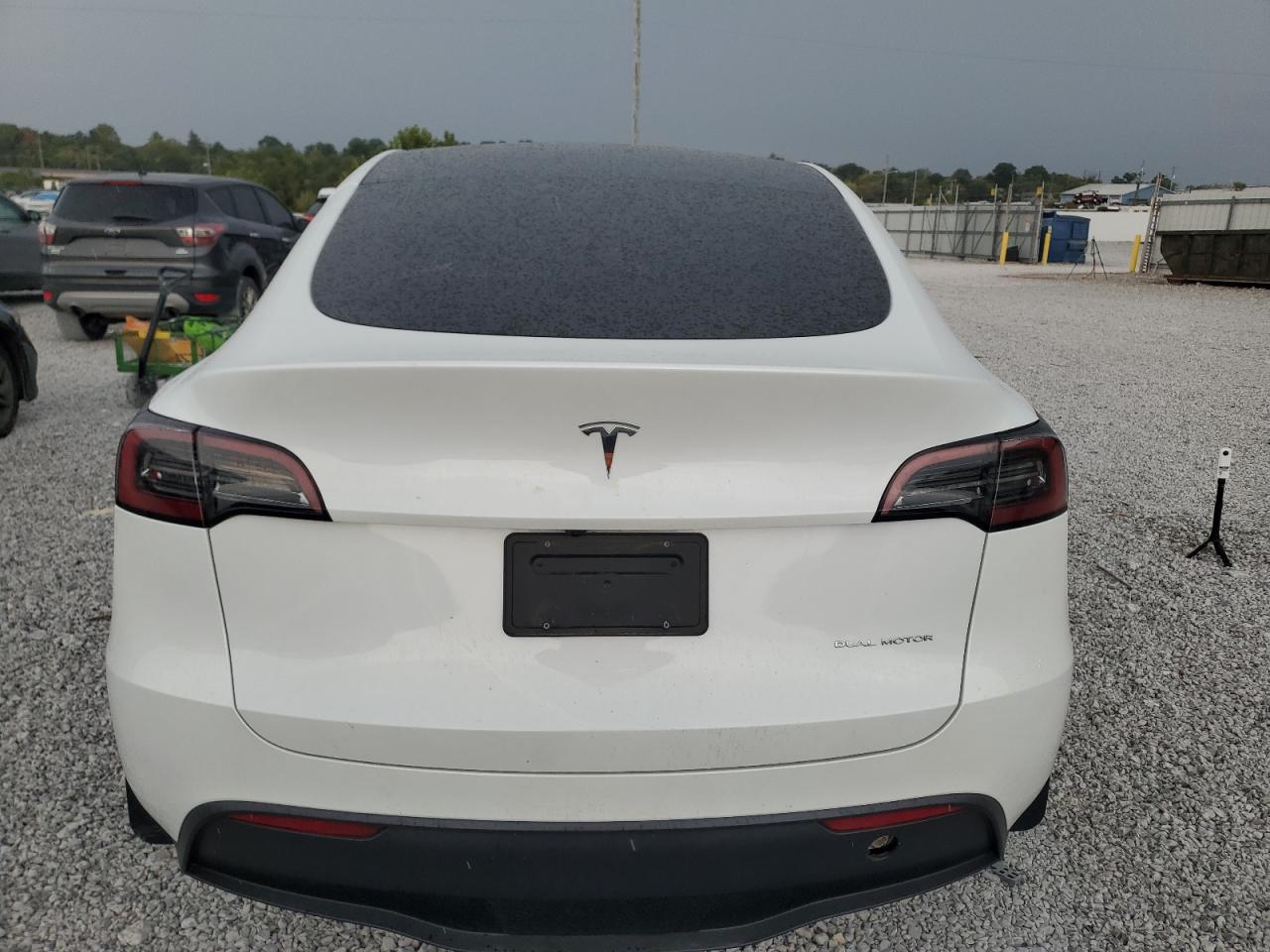 2024 Tesla Model Y VIN: 7SAYGAEEXRF212771 Lot: 81277285
