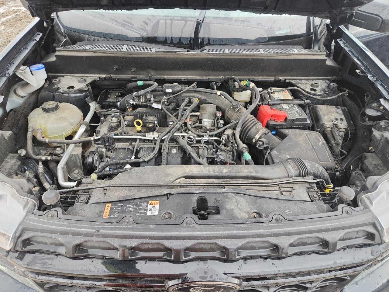 2023 Ford Maverick Xl VIN: 3FTTW8F90PRA21022 Lot: 81875645