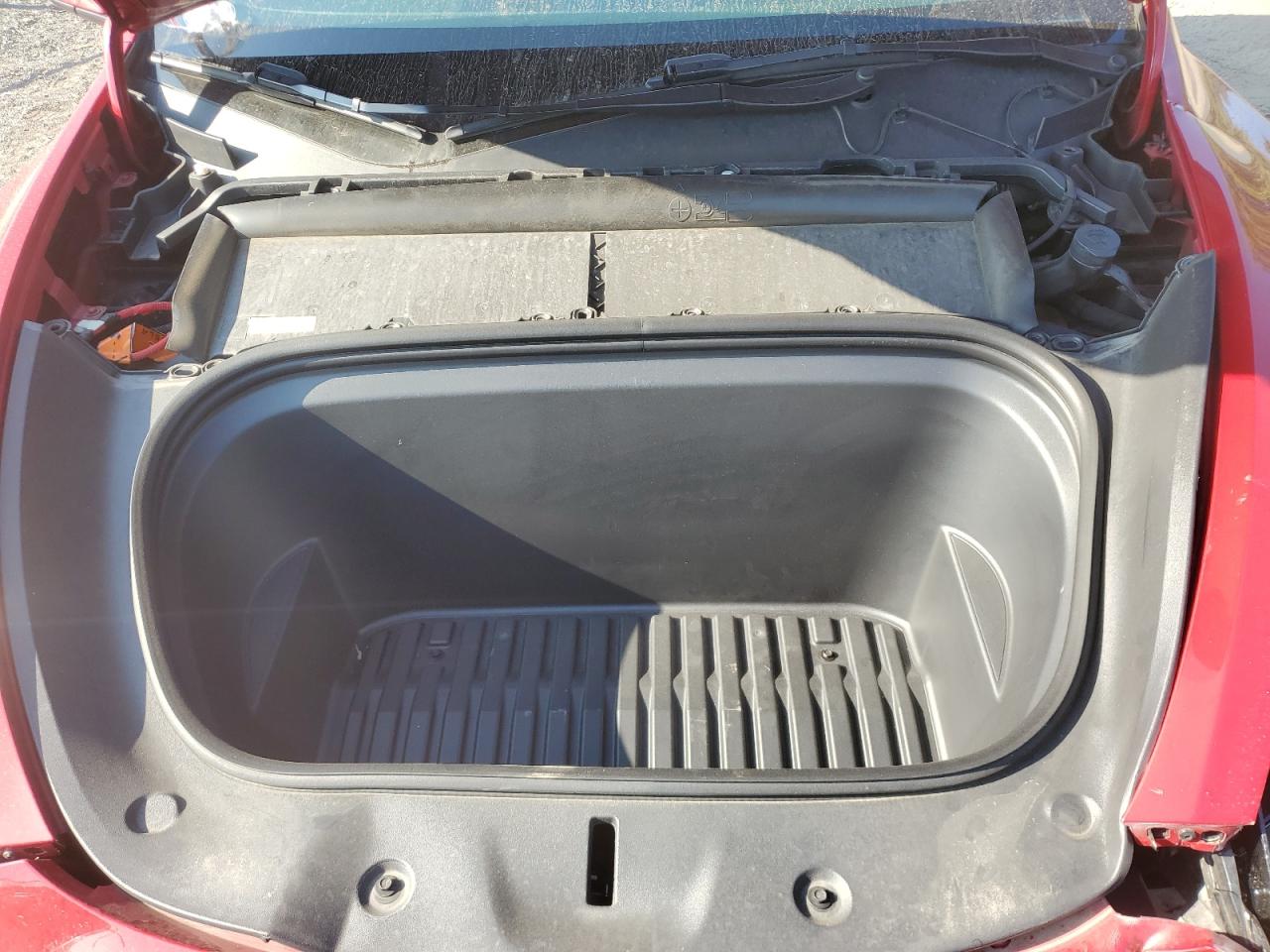 2023 Tesla Model Y VIN: 7SAYGDEF5PF793877 Lot: 71461525