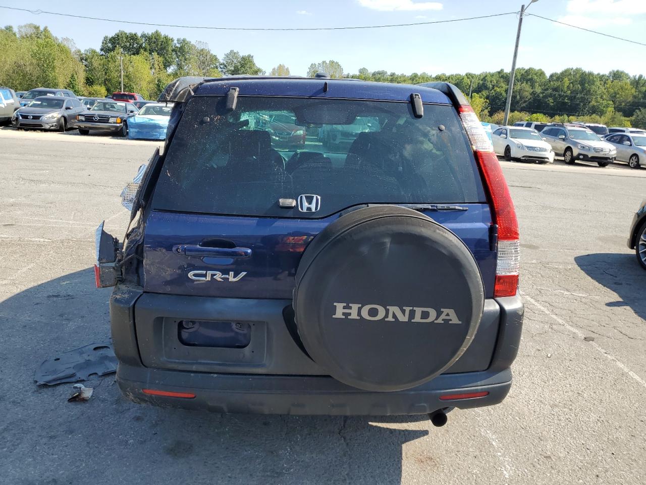 2005 Honda Cr-V Ex VIN: SHSRD78825U310828 Lot: 81195695