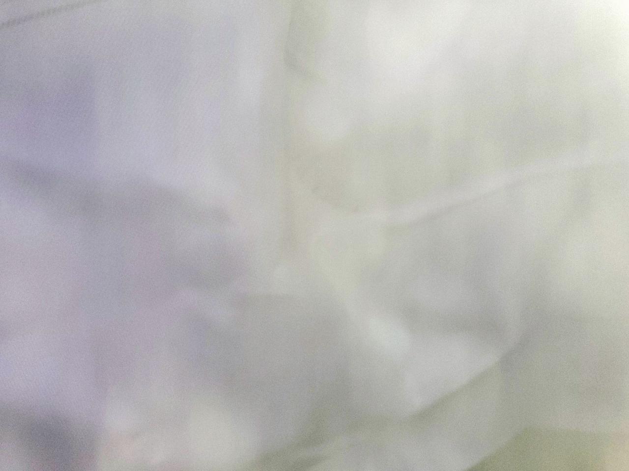 2024 Ford Mustang Dark Horse VIN: 1FA6P8R06R5501505 Lot: 83752075