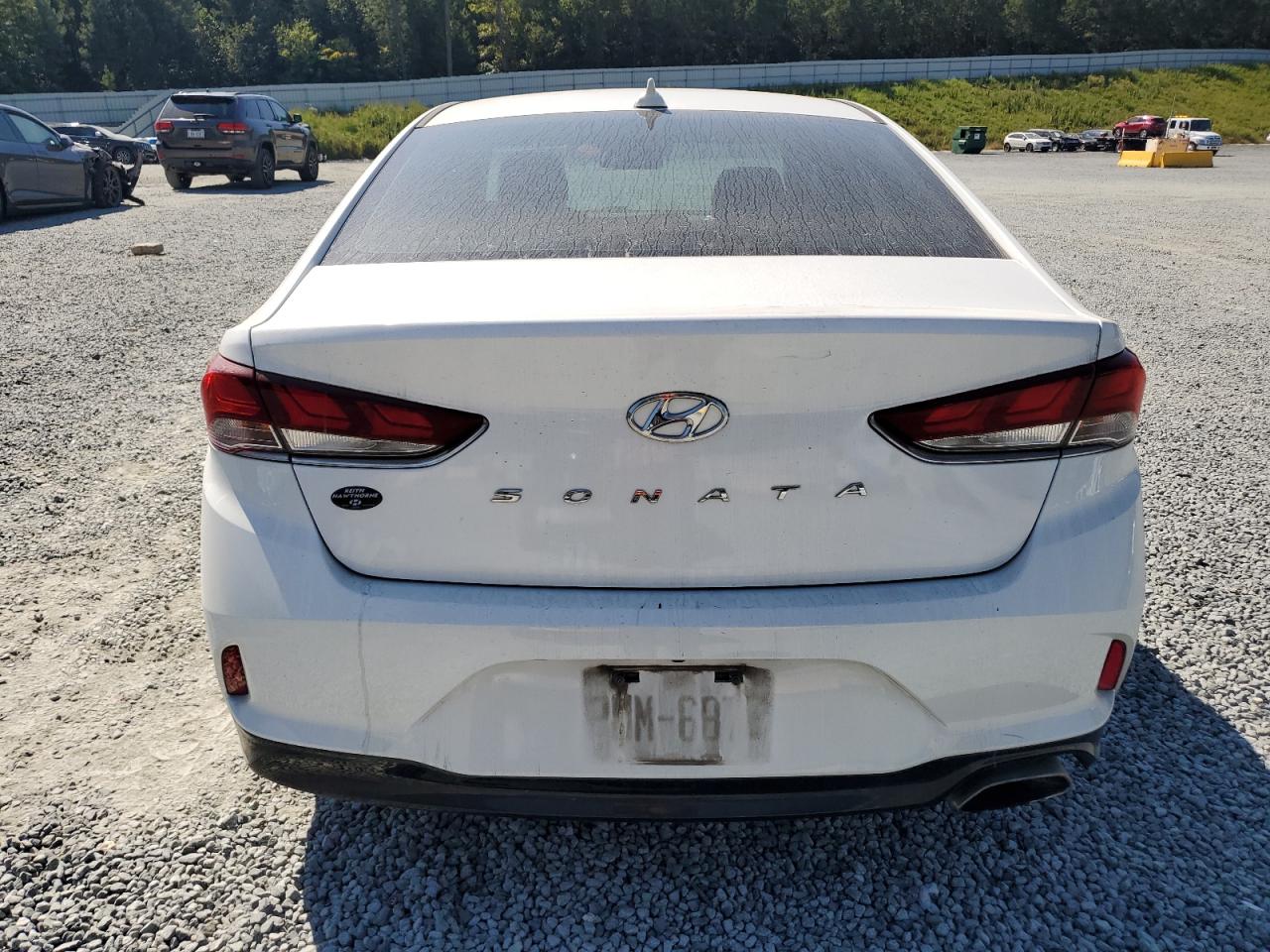 2019 Hyundai Sonata Limited VIN: 5NPE34AF7KH807077 Lot: 81203785