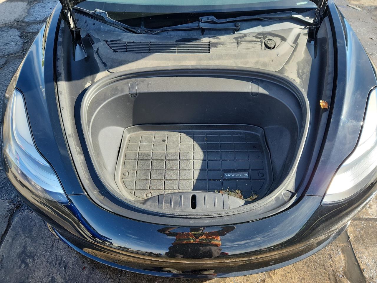 2019 Tesla Model 3 VIN: 5YJ3E1EA3KF305549 Lot: 81318275
