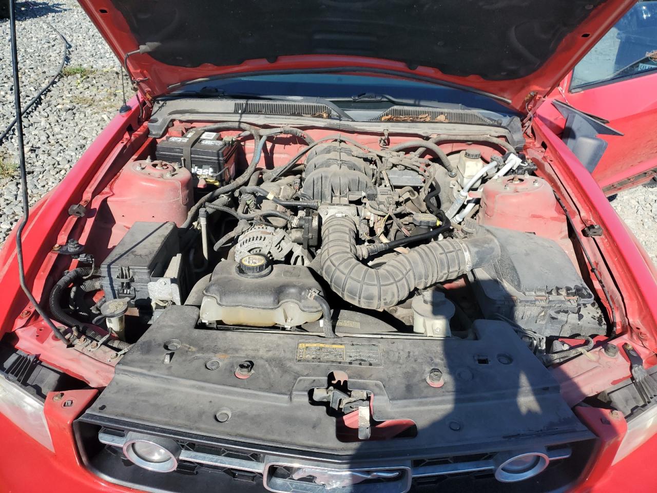 2009 Ford Mustang VIN: 1ZVHT80NX95127890 Lot: 80104455