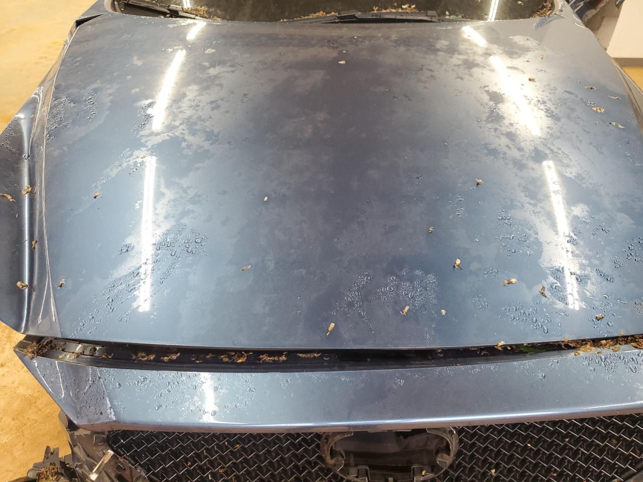 2019 Mazda Cx-5 Signature VIN: JM3KFBEY6K0540884 Lot: 81934445