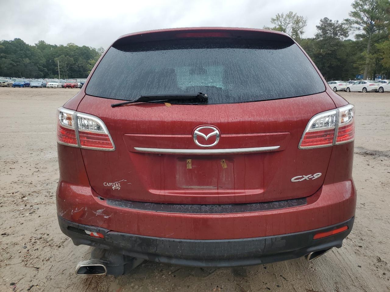 2010 Mazda Cx-9 VIN: JM3TB2MA4A0210311 Lot: 84547475