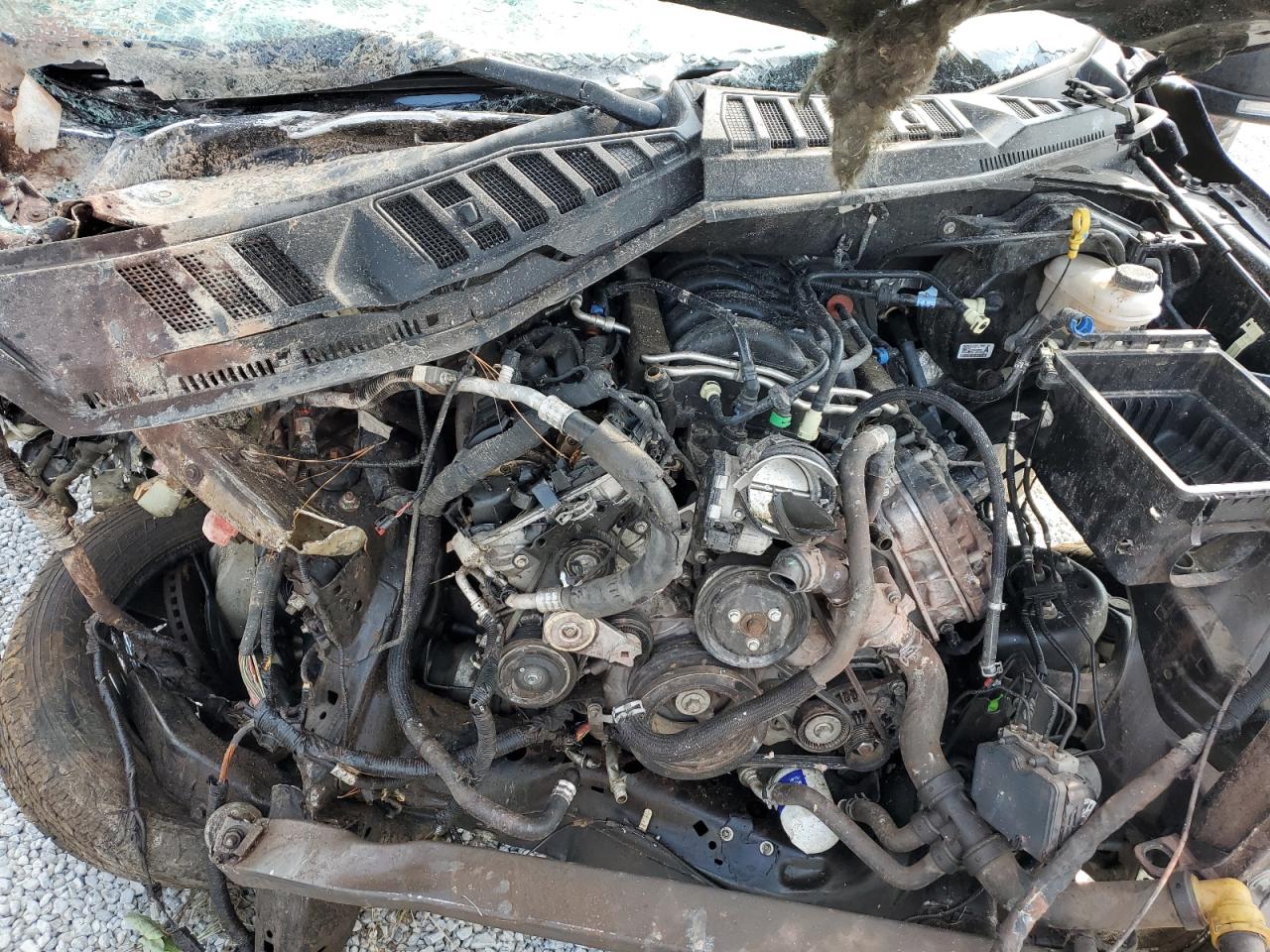 2019 Ford F150 Supercrew VIN: 1FTEW1E55KFC75779 Lot: 80623765