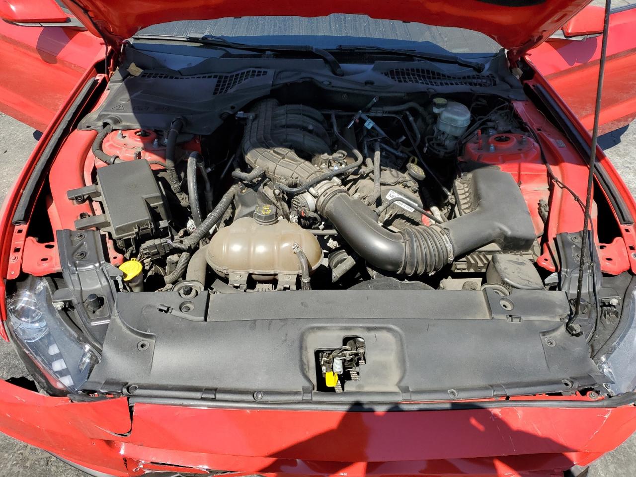 2016 Ford Mustang VIN: 1FA6P8AM1G5215881 Lot: 80510255