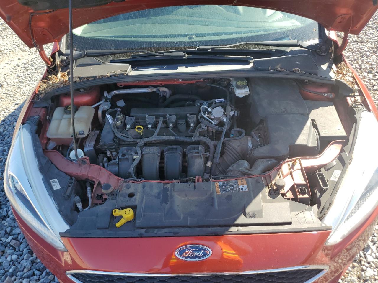 2018 Ford Focus Se VIN: 1FADP3K22JL265568 Lot: 81862775