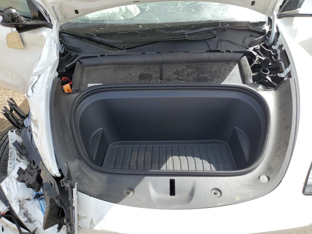 2024 Tesla Model Y VIN: 7SAYGDEE8RF205643 Lot: 80568525