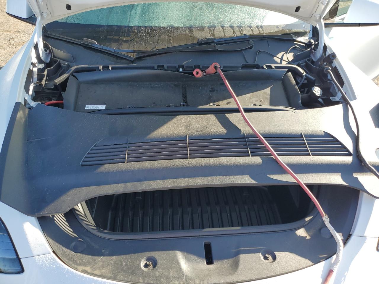 2025 Tesla Model Y VIN: 7SAYGDED9SF239300 Lot: 71041435