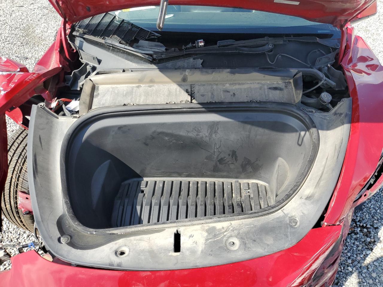 2022 Tesla Model Y VIN: 7SAYGDEF2NF345755 Lot: 81496165