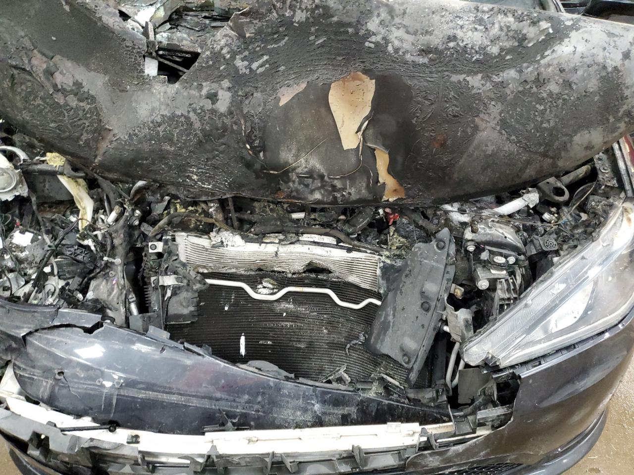 2019 Chrysler Pacifica Limited VIN: 2C4RC1GGXKR705159 Lot: 80269615