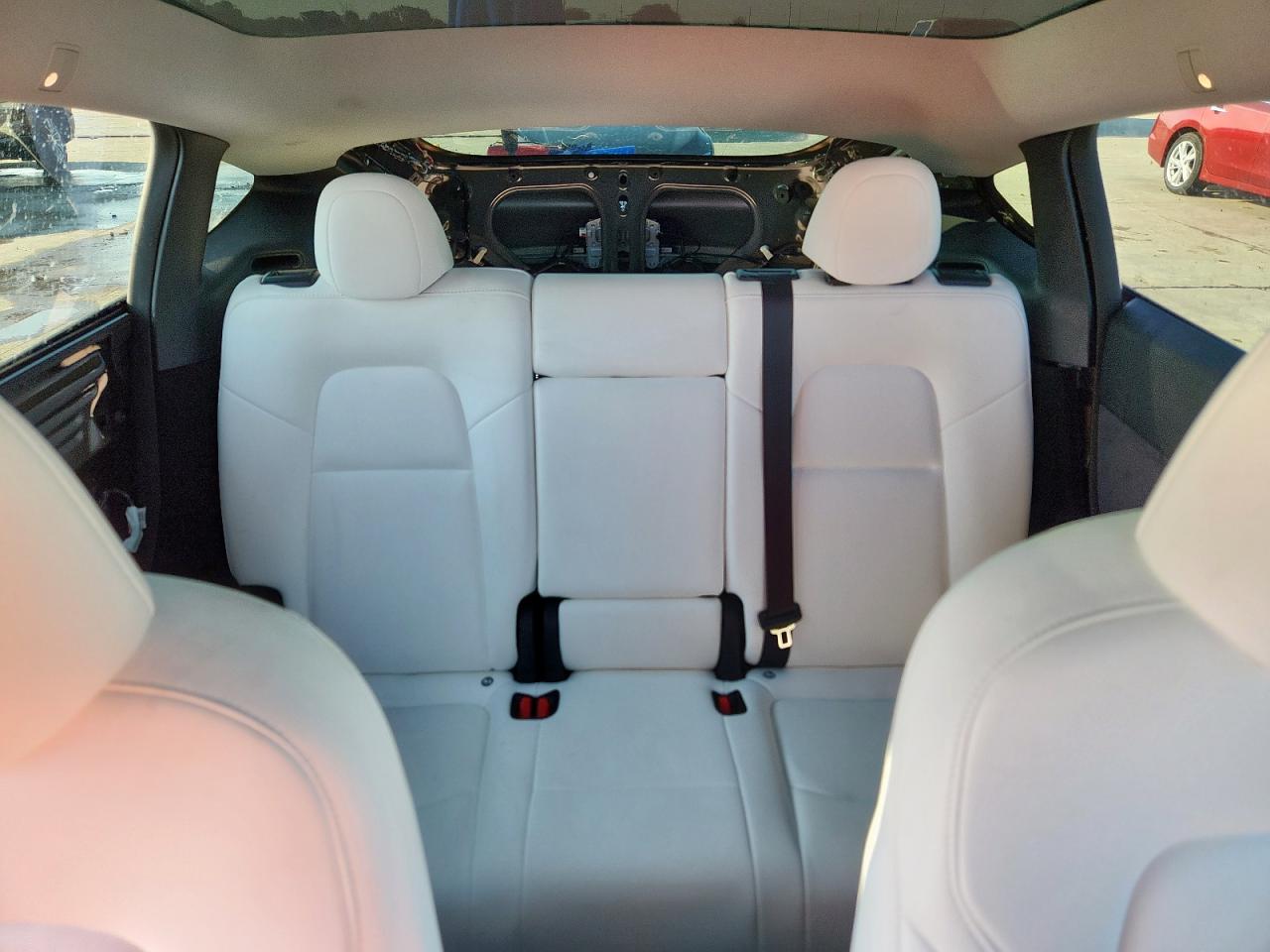 2024 Tesla Model Y VIN: 7SAYGDEE4RA236871 Lot: 81032955