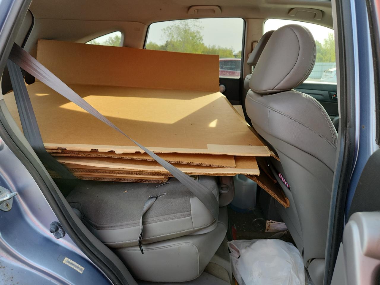 2007 Honda Cr-V Exl VIN: JHLRE48797C044303 Lot: 84542635