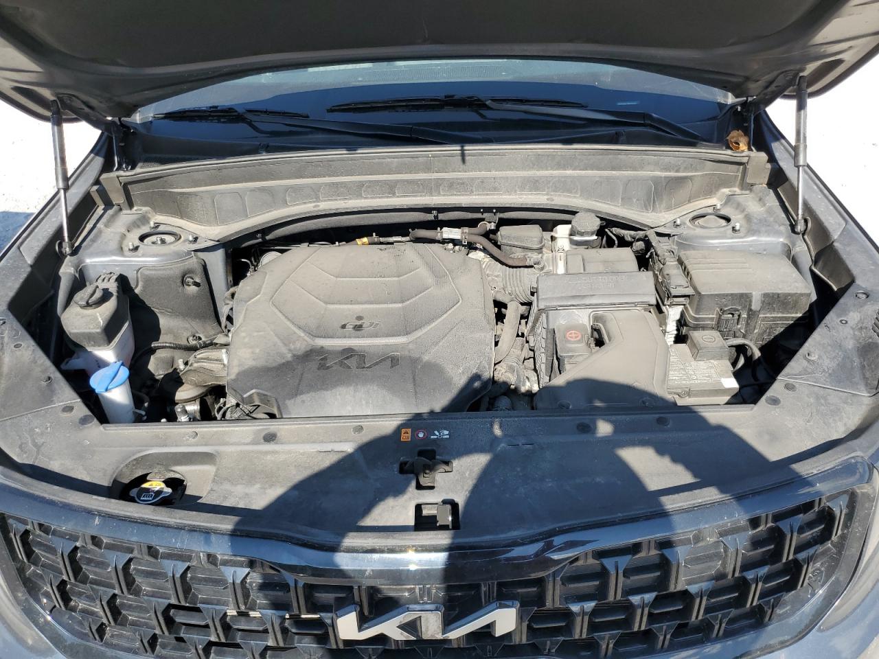 2024 Kia Telluride Ex VIN: 5XYP3DGC5RG423452 Lot: 81030925