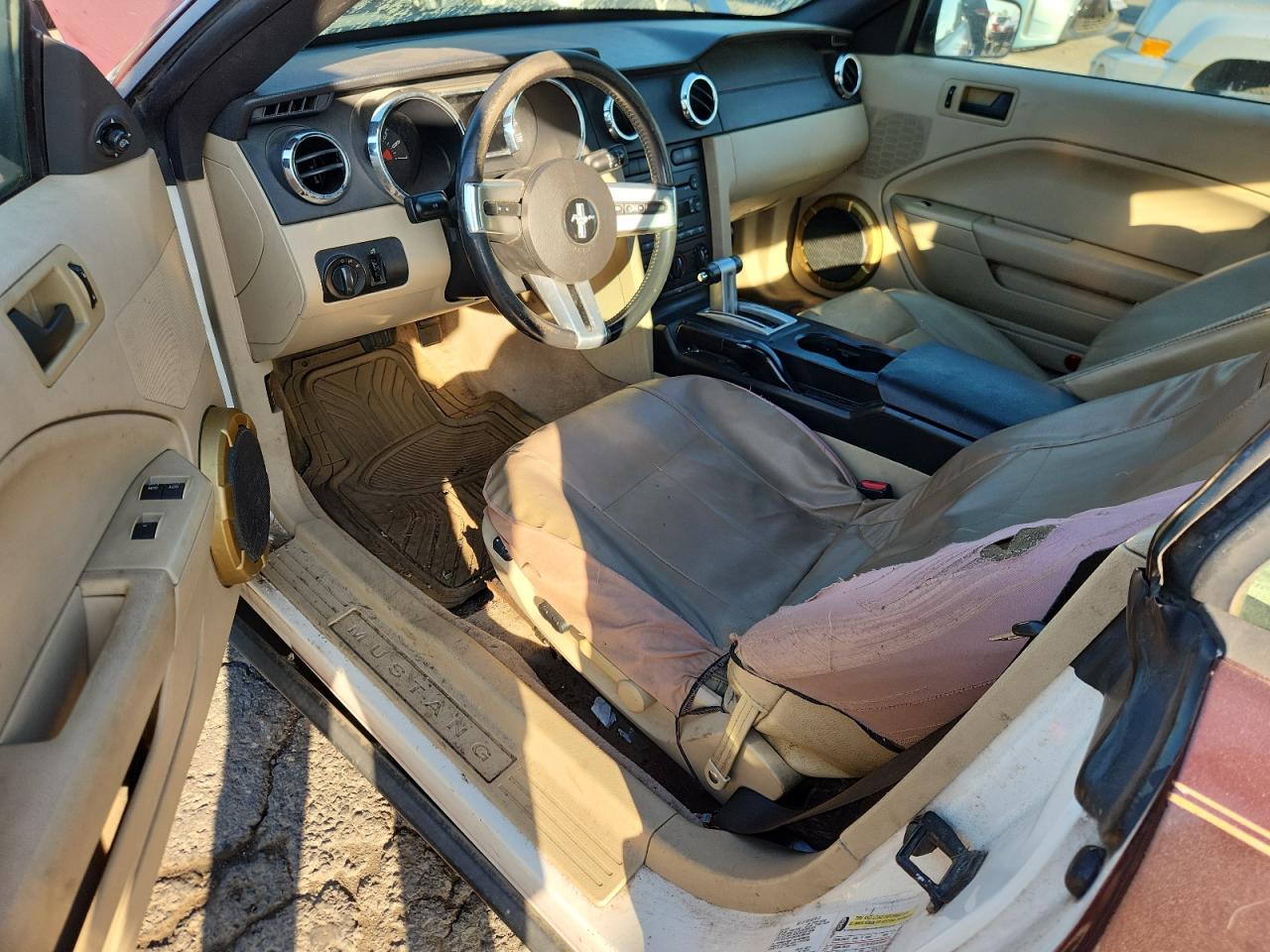 2005 Ford Mustang VIN: 1ZVFT84NX55165695 Lot: 81663855