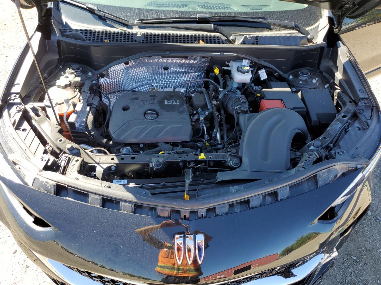 2025 Buick Encore Gx Sport Touring VIN: KL4AMESL5SB081625 Lot: 70262705