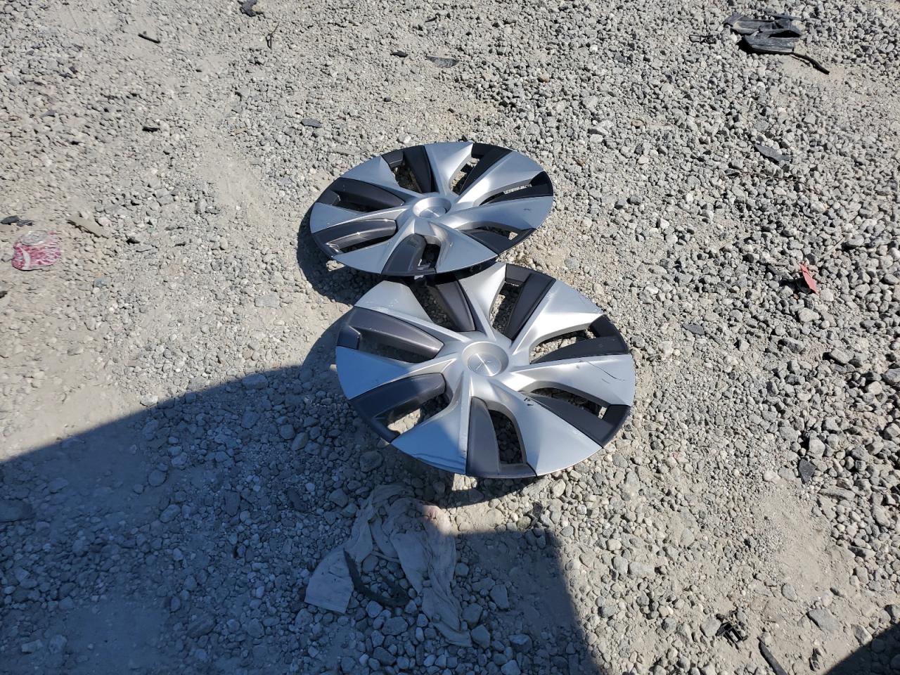 2023 Tesla Model Y VIN: 7SAYGDEE0PA173250 Lot: 80202815