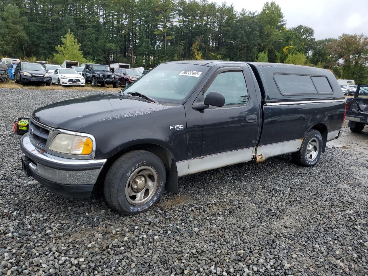 1998 Ford F150 VIN: 1FTZF172XWNB89819 Lot: 80222465