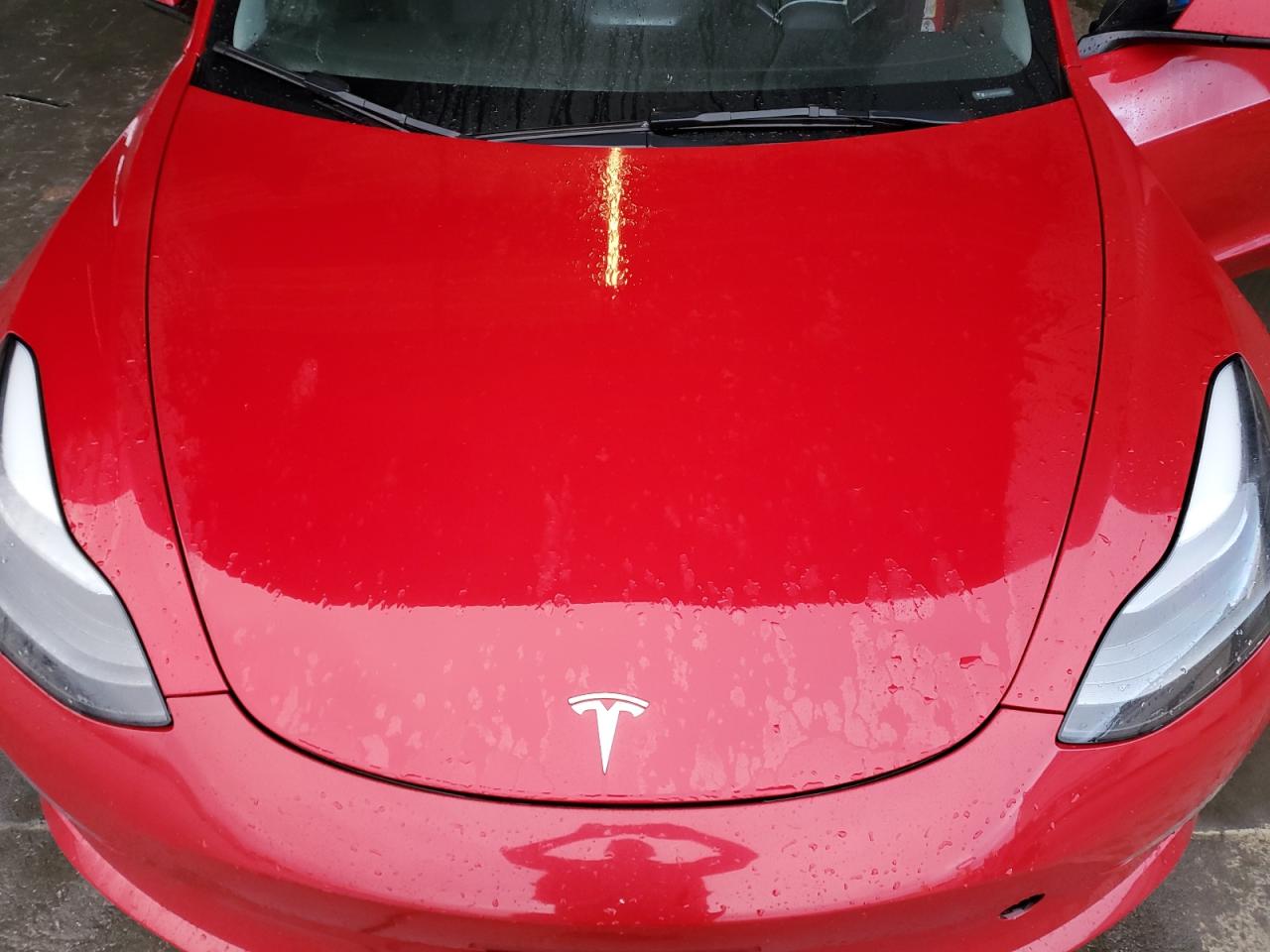 2022 Tesla Model 3 VIN: 5YJ3E1EA9NF303955 Lot: 80139425