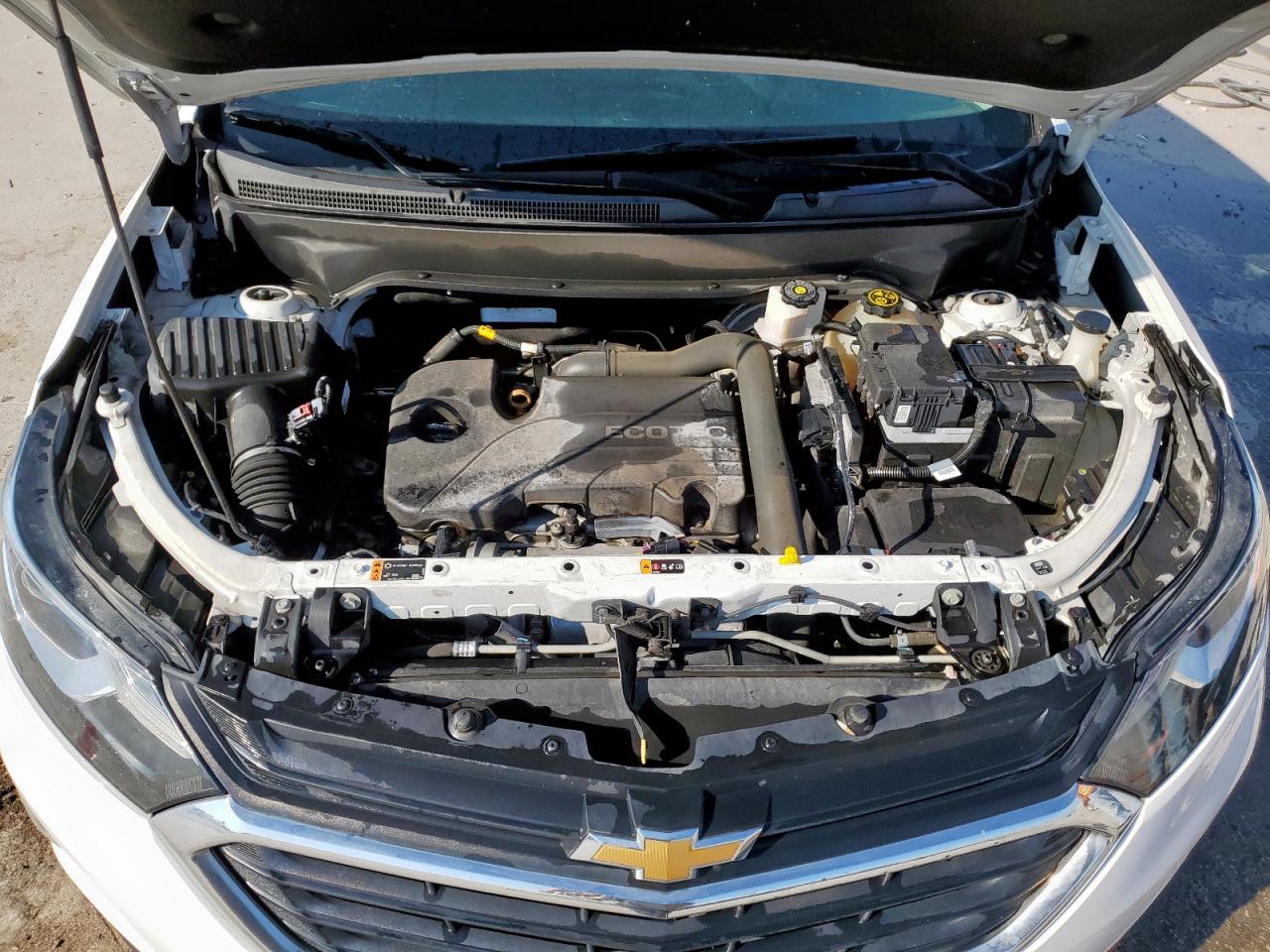 2018 Chevrolet Equinox Lt VIN: 2GNAXJEV3J6328796 Lot: 81648945