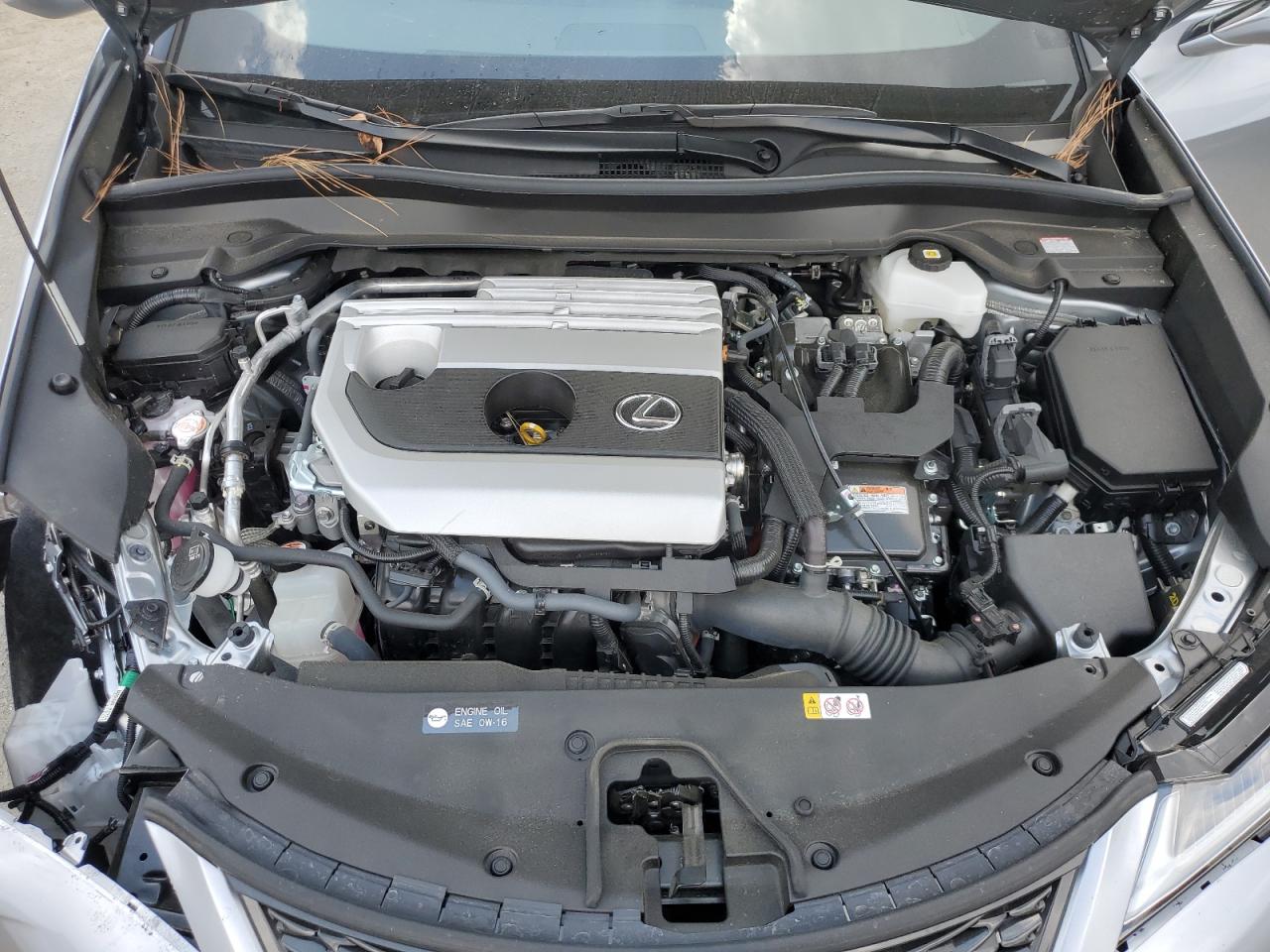 2024 Lexus Ux 250H Premium VIN: JTHR6JBH1R2193306 Lot: 81244495