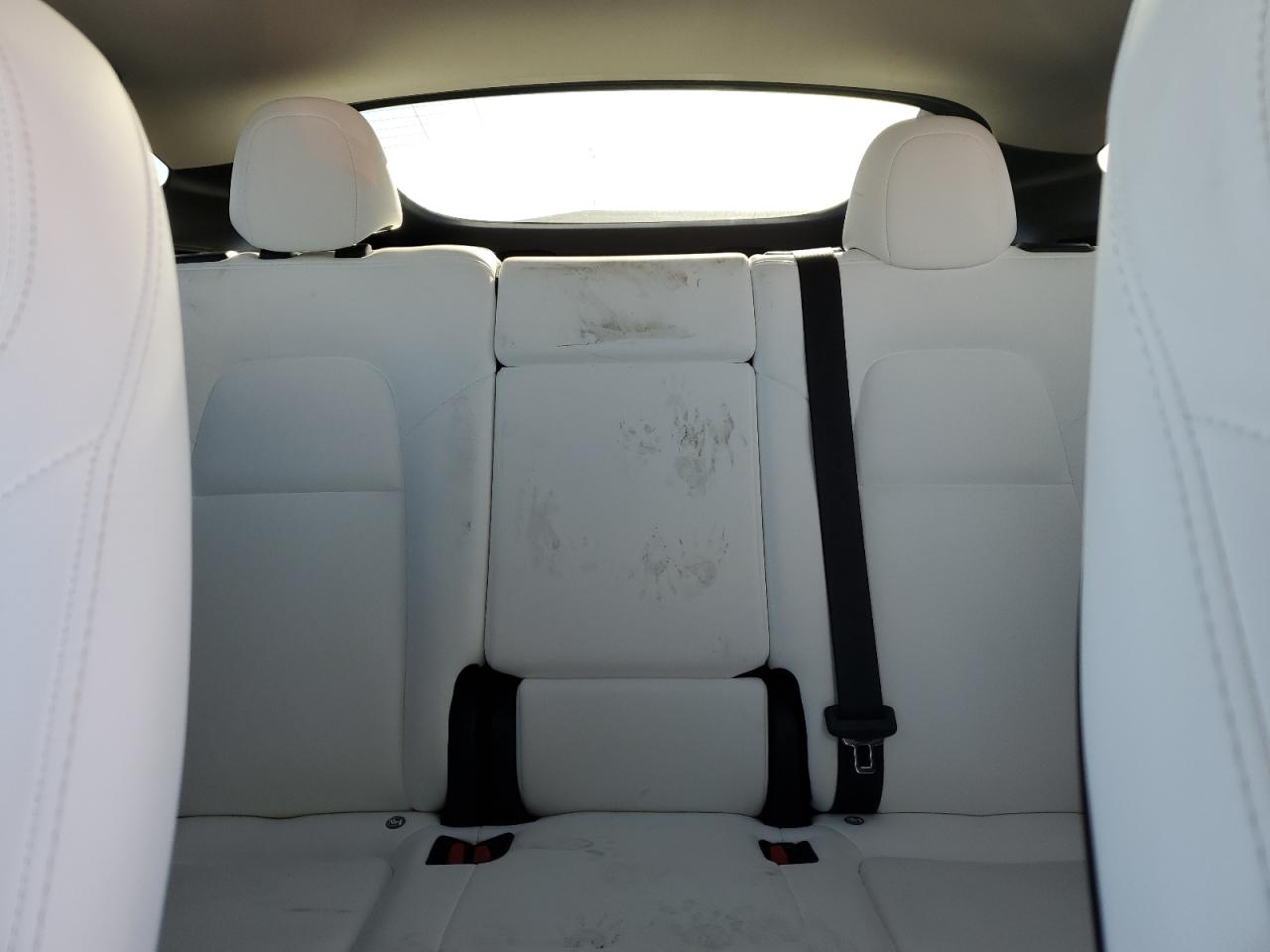 2024 Tesla Model Y VIN: 7SAYGDEE9RF059382 Lot: 71058445