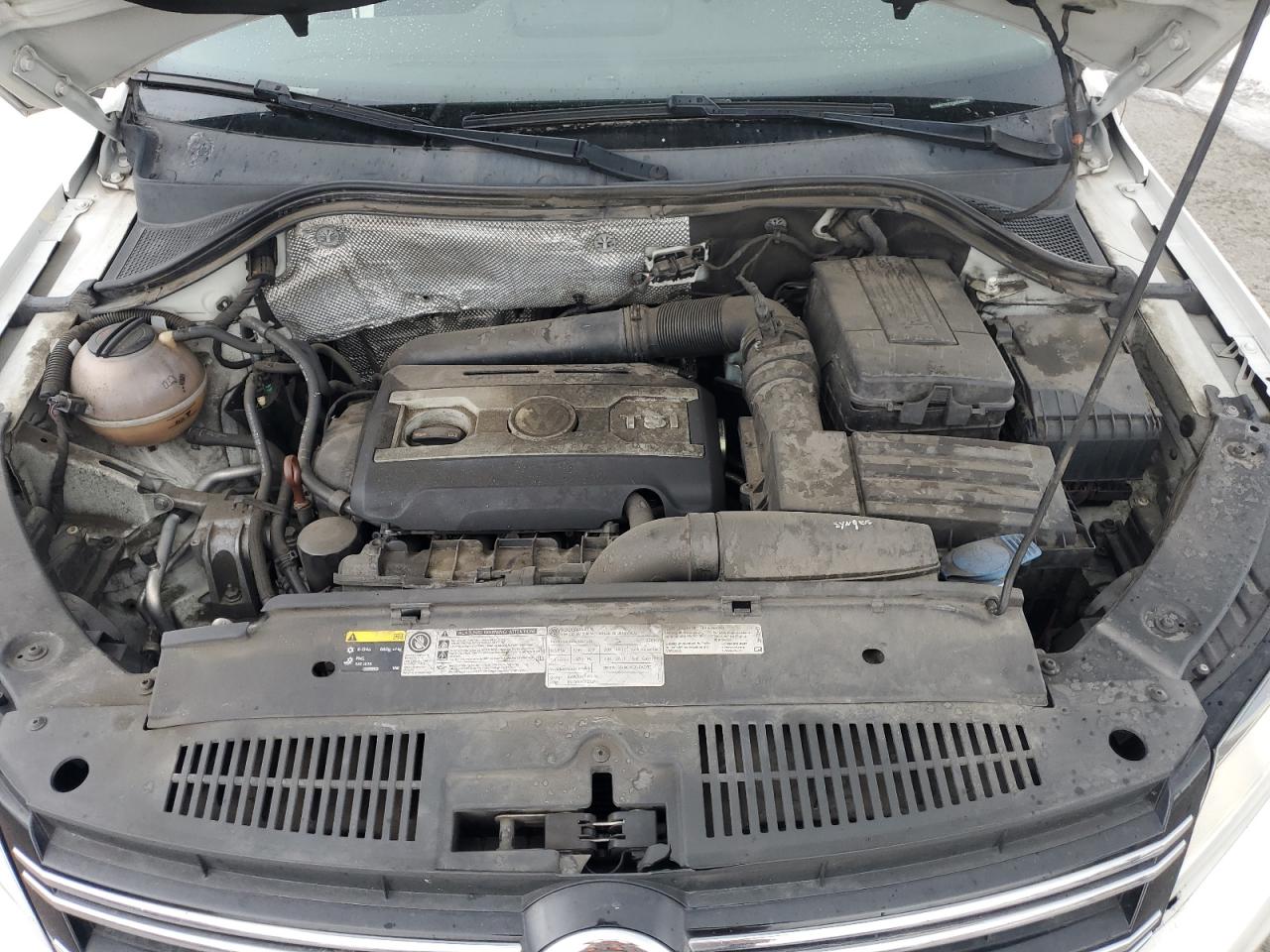 2013 Volkswagen Tiguan S VIN: WVGAV7AX3DW545490 Lot: 81349485