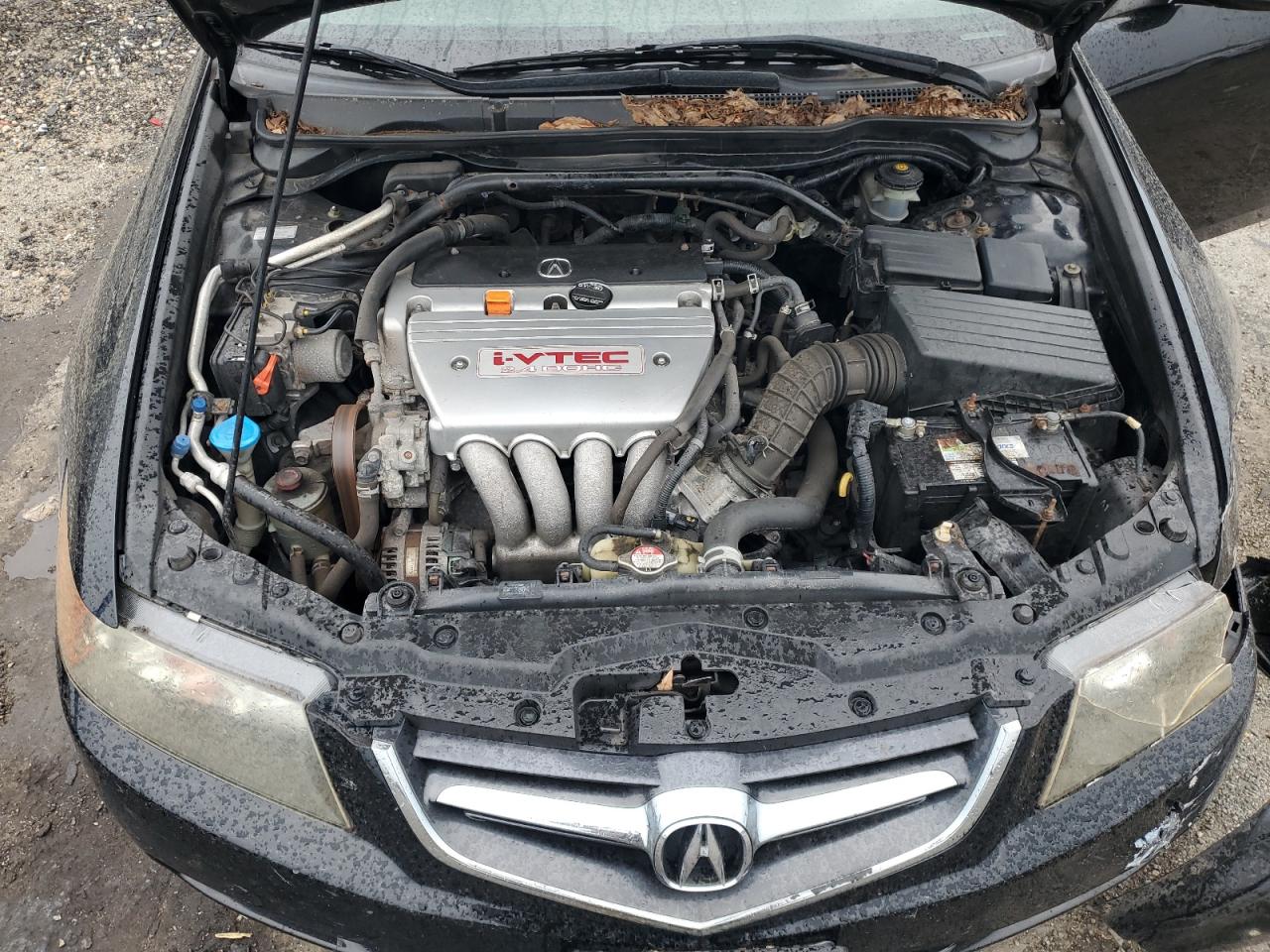 2005 Acura Tsx VIN: JH4CL96845C008600 Lot: 84375385