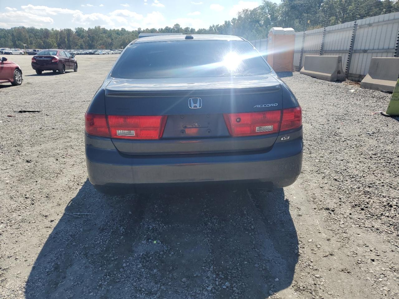 2005 Honda Accord Ex VIN: 1HGCM66805A007955 Lot: 81291005