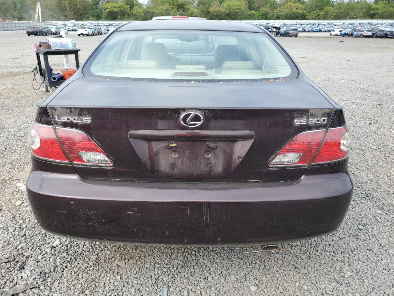 2003 Lexus Es 300 VIN: JTHBF30G130100231 Lot: 80710345