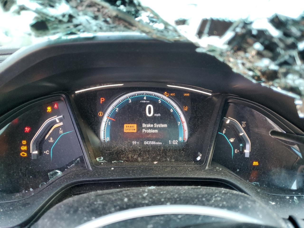 2019 Honda Civic Lx VIN: 2HGFC2F61KH554737 Lot: 80074725