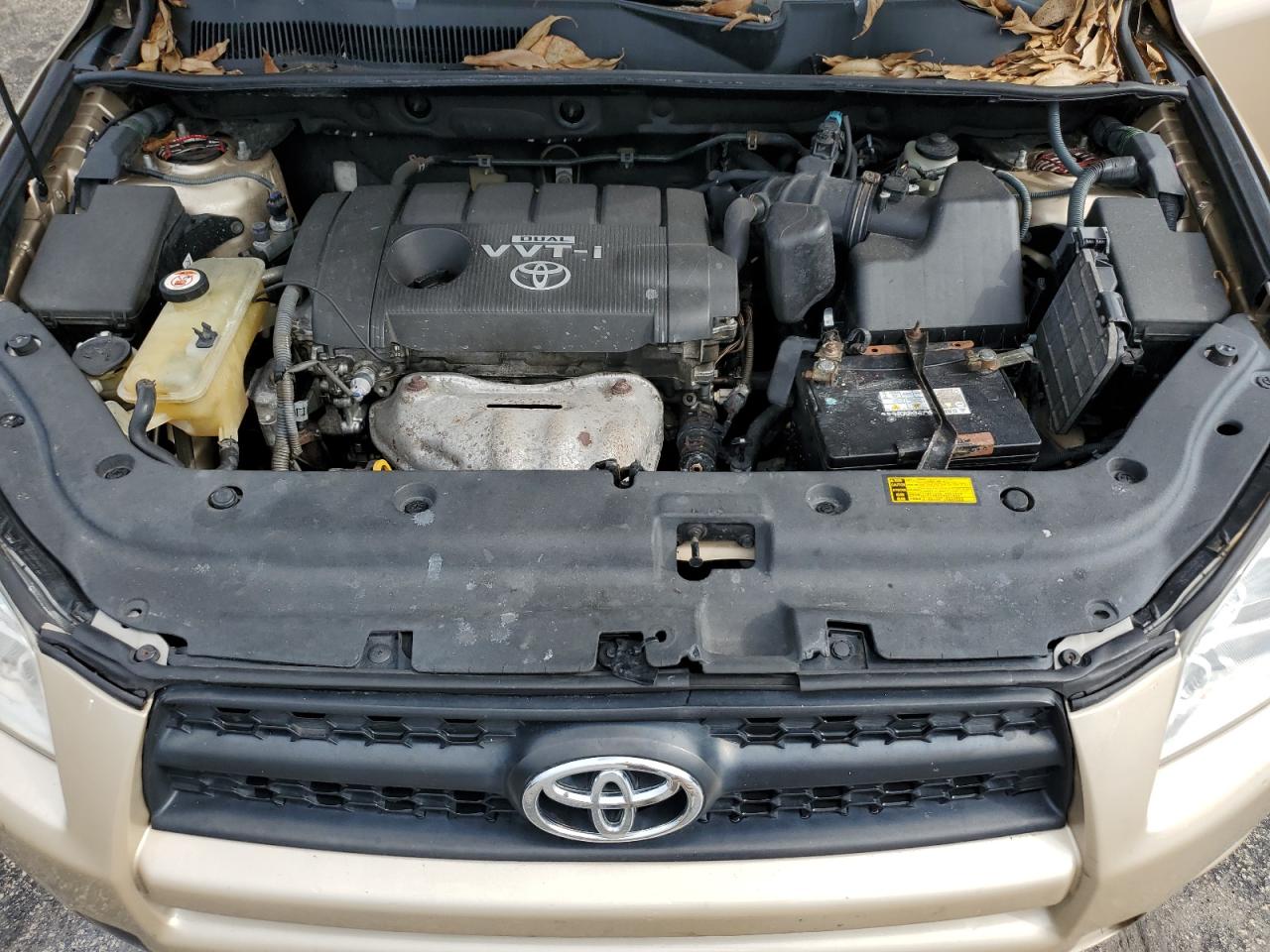 2010 Toyota Rav4 VIN: 2T3ZF4DV2AW032917 Lot: 80845805