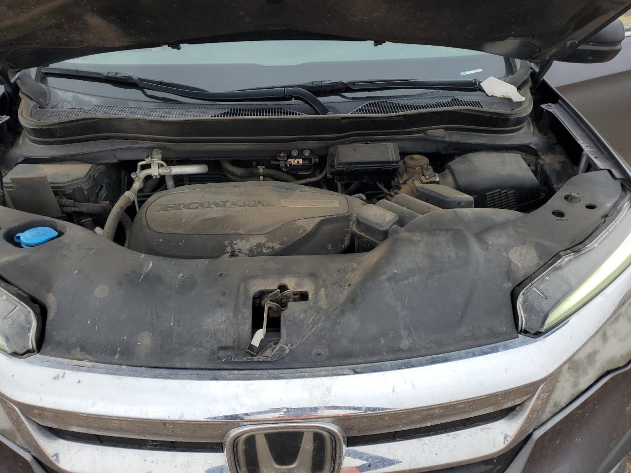 2019 Honda Pilot Lx VIN: 5FNYF6H15KB072463 Lot: 71177245