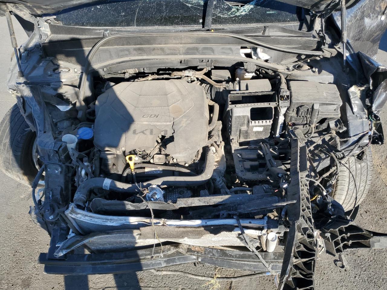 2022 Kia Telluride Lx VIN: 5XYP2DHC7NG235270 Lot: 71659075